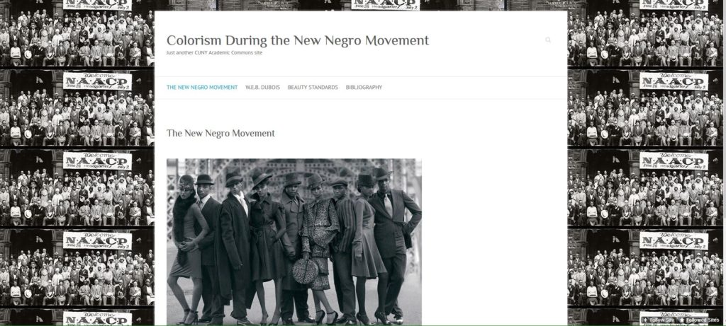 Colorism During the New Negro Movement by Alya Muflahi