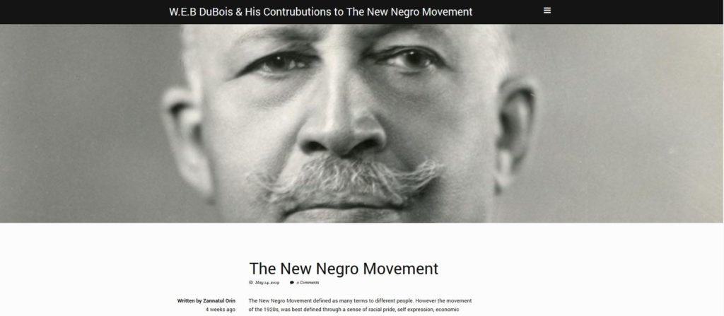 Contributions to the New Negro Movement by Zannatul Orin